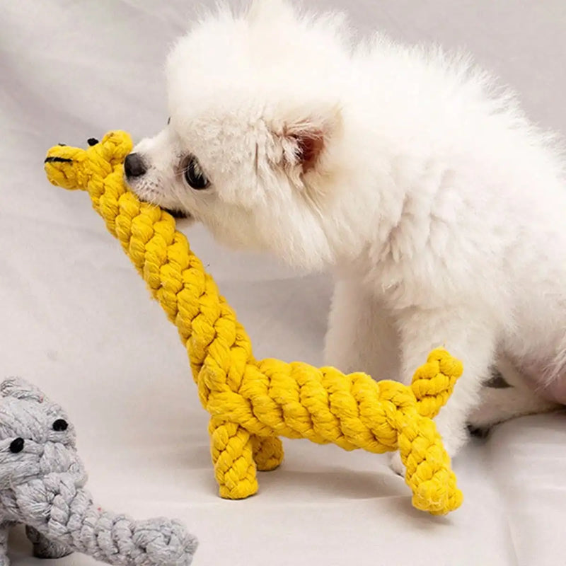 Brinquedo de corda com nó em algodão trançado para cães pequenos e médios, ideal para mastigação, limpeza dos dentes e brincadeiras