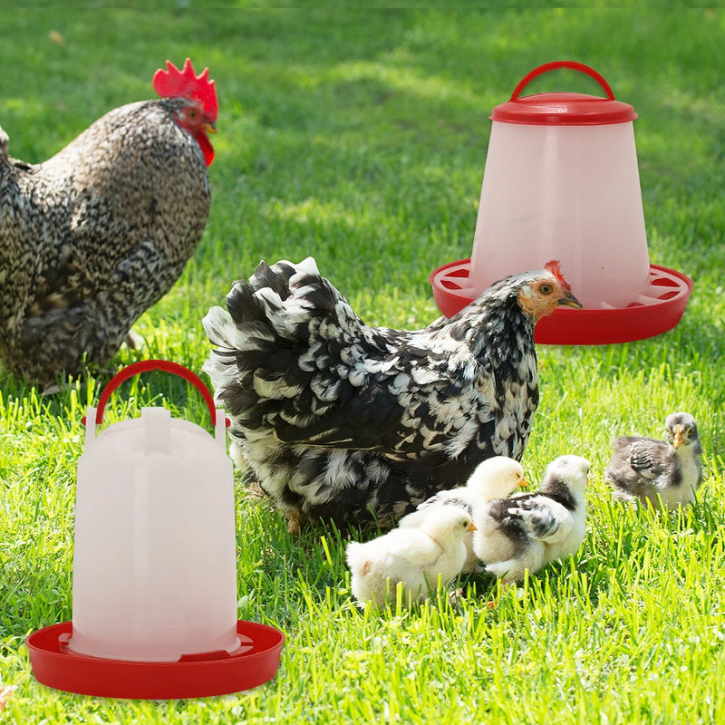Comedouro e bebedouro automático para galinhas com capacidade de 3kg de alimento e 3 litros de água