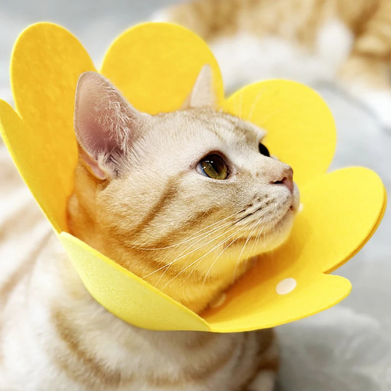 Colar de proteção elizabetano ajustável em formato de cone para cães e gatos em recuperação pós-cirúrgica.