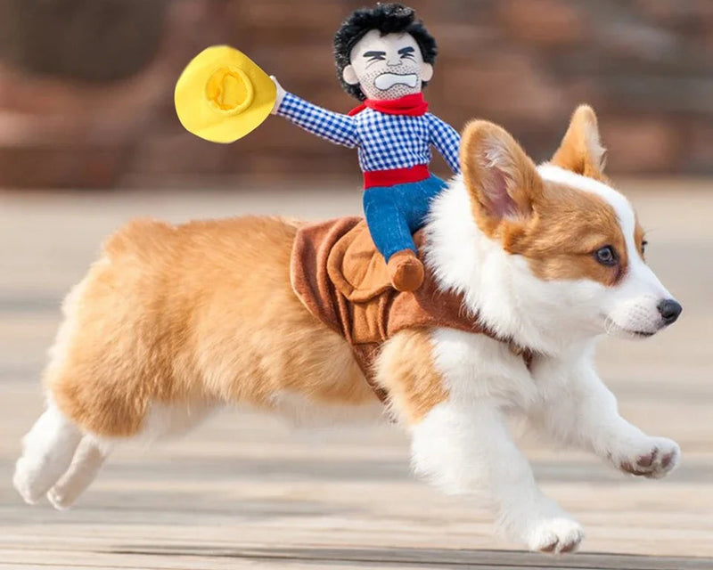 Fantasia cowboy de Halloween para cachorro, jaqueta temática para cães pequenos e grandes