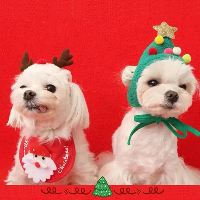 Fantasia de Natal para cachorro e gato com gorro de Papai Noel ou rena e bandana temática, ideal para fotos, festas e comemorações natalinas.