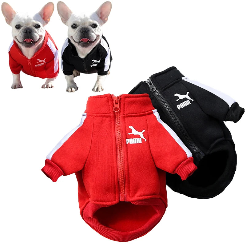 Jaqueta Baseball de inverno para cães pequenos e médios com design esportivo, confortável e quentinha
