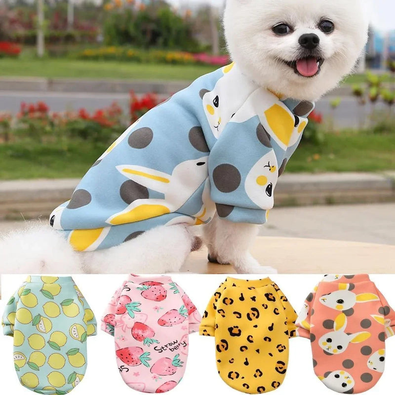 Moletom com capuz para cachorro Chihuahua, cães de pequeno porte e gatos, ideal para manter o pet aquecido no inverno.