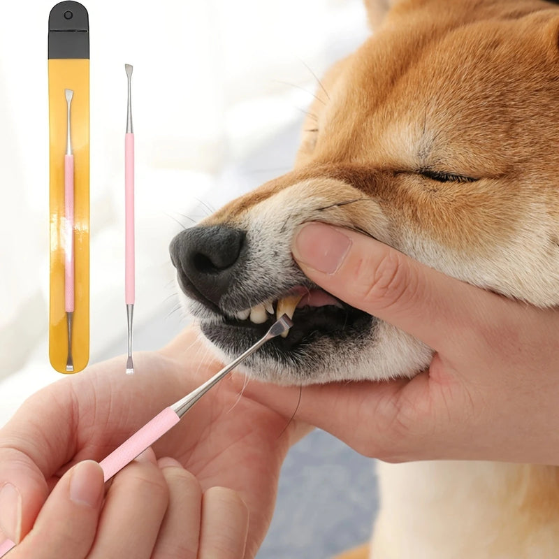Removedor de tártaro pet em aço inoxidável com ponta dupla para auxiliar na higiene dental de cães e gatos