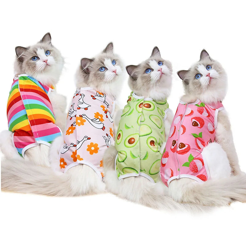 Roupa pós-cirúrgica respirável para gata, macacão anti lambedura ideal para recuperação após castração e proteção dos pontos cirúrgicos.