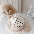 Vestido Elegante para Cachorros Pequenos – Com Laço e Renda, Roupa Feminina para Verão