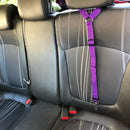 Cinto de Segurança 2 em 1 para Cães com Guia Ajustável em Nylon | Ideal para Carros e Passeios