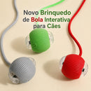 Bola Inteligente Interativa para Cães – Brinquedo Automático Recarregável com Movimento Inteligente