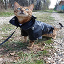 Jaqueta para Cachorro em Couro PU Impermeável com Estampa de Águia Gloriosa | Casaco Fashion para Pets Pequenos