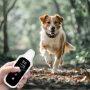 Coleira de Treinamento para Cães com Controle Remoto – Recarregável, Impermeável com Vibração, Som e Display LCD