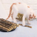 Kit com 15 Gravetos Naturais de Matatabi para Gatos – Mordedor Natural para Higiene Bucal e Diversão