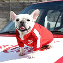 Jaqueta Baseball para Cães – Casaco de Inverno Estiloso para Cães Pequenos e Médios