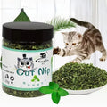 Brinquedo Interativo com Catnip Natural para Gatos – Erva do Gato 100% Natural para Diversão e Estímulo Felino