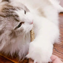 Kit com 15 Gravetos Naturais de Matatabi para Gatos – Mordedor Natural para Higiene Bucal e Diversão