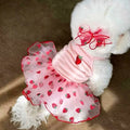 Vestido Elegante para Cachorros Pequenos – Com Laço e Renda, Roupa Feminina para Verão