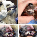 Removedor de Tártaro para Cães e Gatos – Raspador Dental em Aço Inoxidável para Higiene Bucal Pet