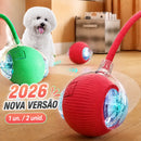 Bola Inteligente Interativa para Cães – Brinquedo Automático Recarregável com Movimento Inteligente