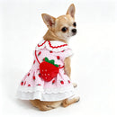Vestido de Morango para Cachorros e Gatos – Roupa Xadrez Fofa para Primavera e Verão