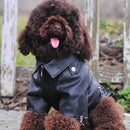 Jaqueta para Cachorro em Couro PU Impermeável com Estampa de Águia Gloriosa | Casaco Fashion para Pets Pequenos