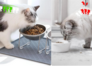 Comedouro Elevado em Aço Inox 304 para Gatos e Filhotes – Inclinação Ergonômica de 15°