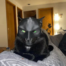 Máscara de Morcego para Gato e Cachorro | Fantasia de Halloween 3D Inspirada em Super-Herói para Pets