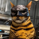 Máscara de Morcego para Gato e Cachorro | Fantasia de Halloween 3D Inspirada em Super-Herói para Pets