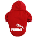 Moletom para Cachorro – Roupa Quente para Cães de Pequeno, Médio e Grande Porte