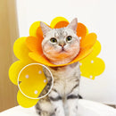 Colar Elizabetano de Proteção Pet - Cone de Recuperação Pós-Cirúrgico para Cães e Gatos