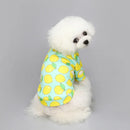 Moletom com Capuz para Cachorro – Roupa de Inverno Quente para Chihuahua, Bulldog e Cães Pequenos