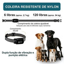 Coleira de Treinamento para Cães com Controle Remoto – Recarregável, Impermeável com Vibração, Som e Display LCD