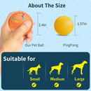 Bola Inteligente Interativa para Cães e Gatos com Movimento Automático, Luzes RGB e Recarga USB