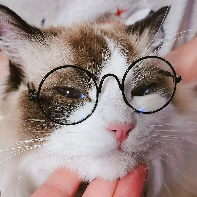 Óculos de sol redondos vintage com lentes refletivas para cachorro e gato de pequeno porte, ideal para passeios, festas e ensaios fotográficos.
